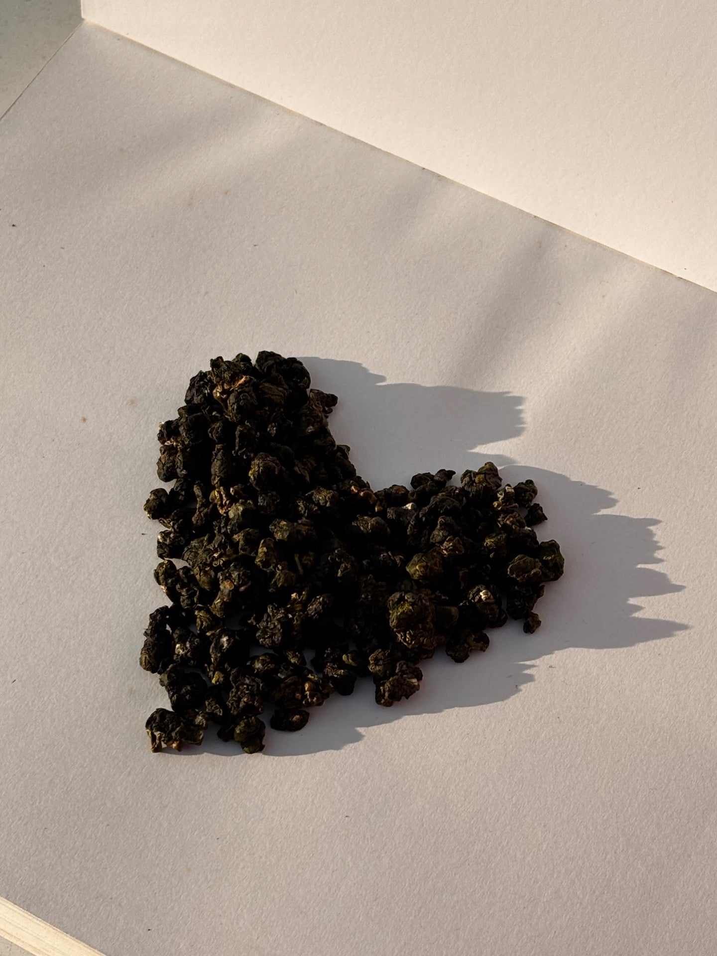 No.2 青嶺 GREEN RIDGE